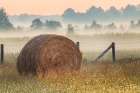 Hay bale in rural farm field, Oldham County, Kentucky Art Print